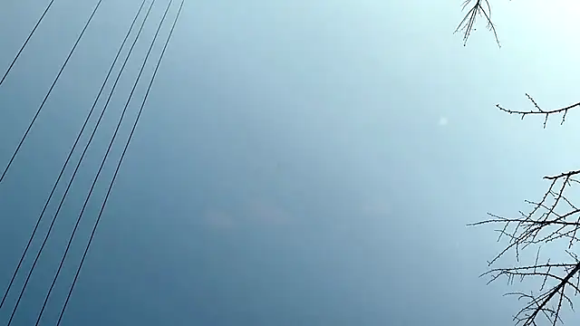 Snapshot of QianF-666 chatting on February 13, 9:30 am QianF-666 online show from February 13, 9:30 am