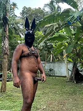 Snapshot of DragonLover_93 chatting on December 1, 11:26 am DragonLover 93 online show from December 1, 11:26 am