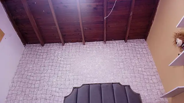 luce williams online show from February 25, 7:14 pm