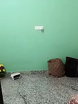 Saroj-Shah online show from November 15, 3:08 pm