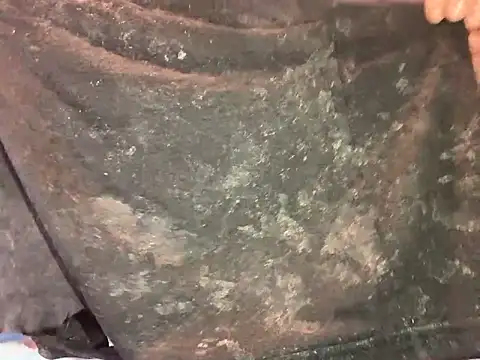 barenlund456 online show from April 19, 8:55 pm