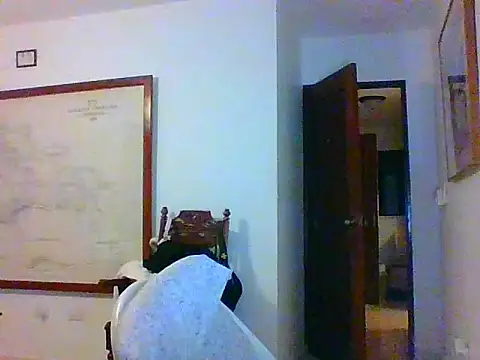 tumarditoperro online show from September 13, 9:31 am