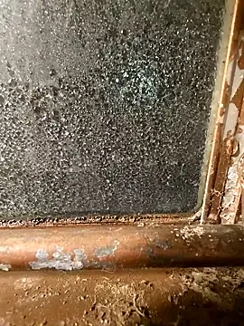 Snapshot of alienbunny chatting on January 11, 5:52 am alienbunny online show from January 11, 5:52 am