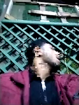 bontoo5 online show from November 9, 6:50 pm