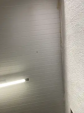 luara1988 online show from October 23, 10:58 am