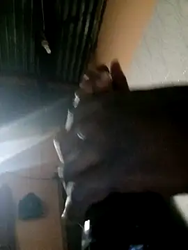 TastyAfrica online show from February 10, 5:28 pm