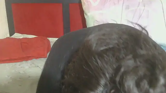 Snapshot of MaximTease24 chatting on June 12, 10:41 pm MaximTease24 online show from June 12, 10:41 pm