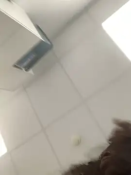 Snapshot of bonbonaumiel chatting on December 14, 8:56 am bonbonaumiel online show from December 14, 8:56 am