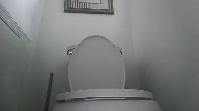 you like my chocolate101 online show from October 11, 8:40 pm