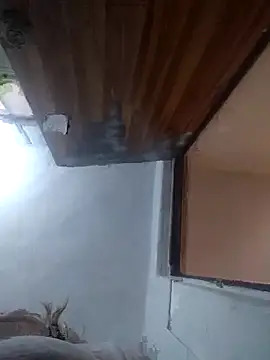 iDogrose21 online show from December 15, 3:38 pm