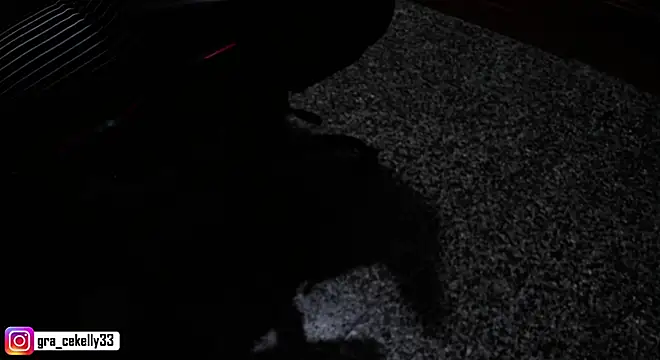 Snapshot of gracekelly12 chatting on December 4, 6:39 pm gracekelly12 online show from December 4, 6:39 pm