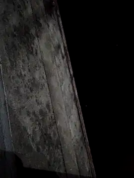 sana14 online show from March 1, 3:05 pm