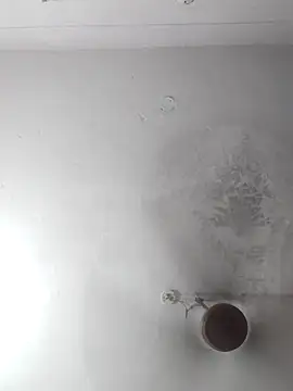 sana14 online show from September 21, 9:11 am