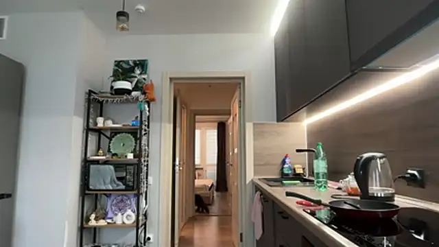 jainesummer online show from December 4, 8:45 am