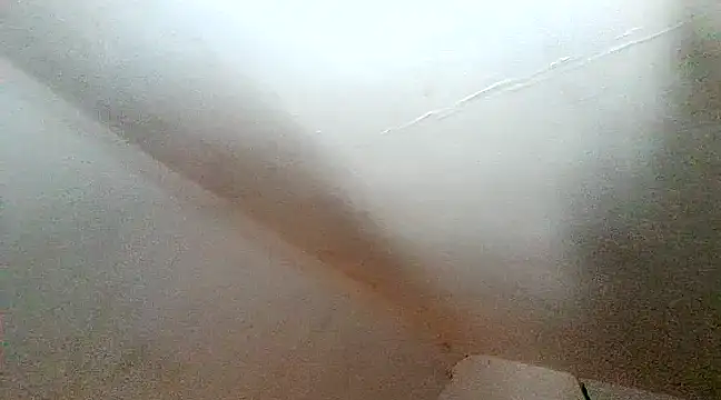 unclestefansdick online show from December 10, 6:28 pm