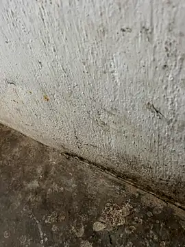 Snapshot of tamil000000 chatting on November 3, 3:30 am tamil000000 online show from November 3, 3:30 am