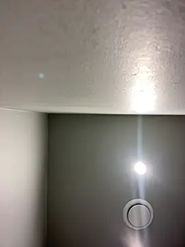 KitteCat online show from December 13, 3:00 pm