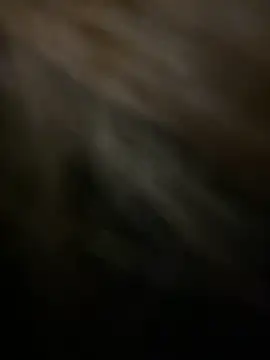 KitteCat online show from January 4, 2:46 pm