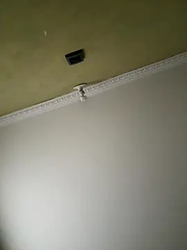 aurora divine online show from November 8, 1:00 pm