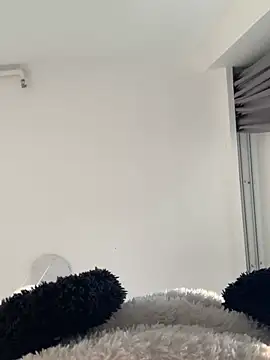 Sheep-1 online show from January 1, 10:00 am