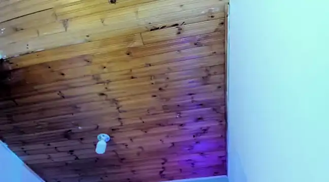 Namiko Park online show from January 30, 4:02 pm