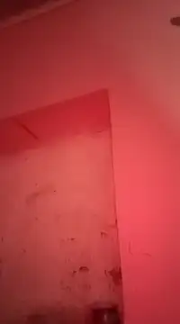 Snapshot of sosarax chatting on January 30, 11:22 am sosarax online show from January 30, 11:22 am