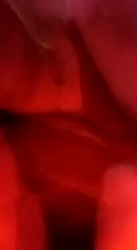 Snapshot of sosarax chatting on February 5, 3:20 pm sosarax online show from February 5, 3:20 pm