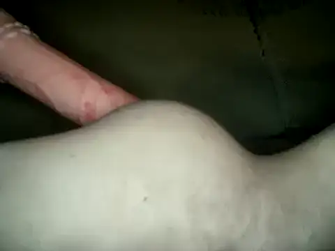 UnaDiosa online show from December 24, 10:28 pm