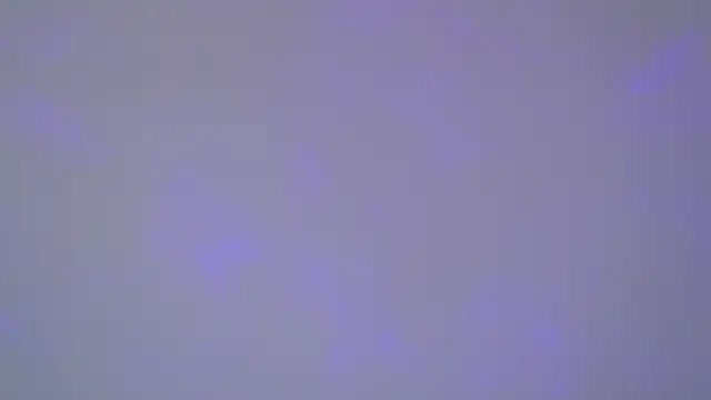 Snapshot of SelinSwarovski chatting on November 1, 5:09 am SelinSwarovski online show from November 1, 5:09 am