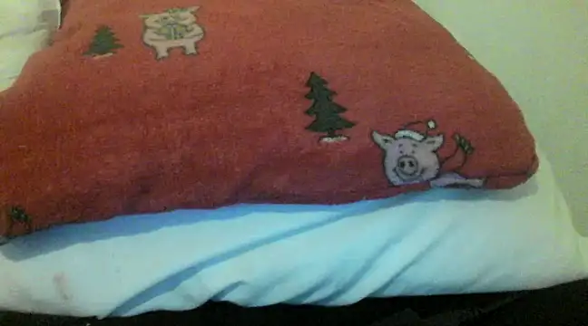 bunnyamy online show from December 5, 6:00 pm