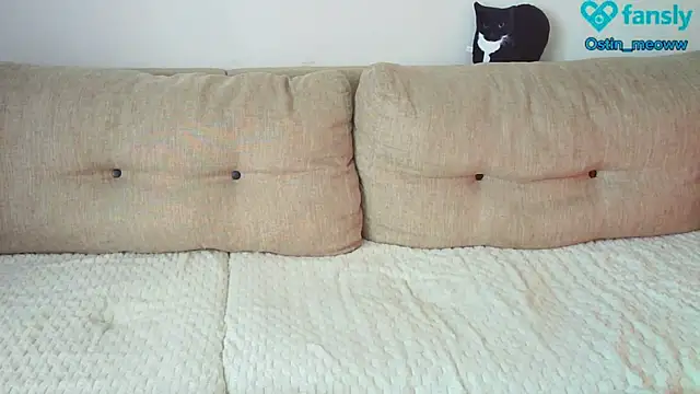 Ostin meow online show from February 25, 8:14 am