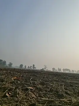 imissyoumylove14 online show from December 10, 3:09 am