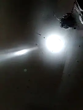 Innsaciable online show from April 11, 11:31 pm