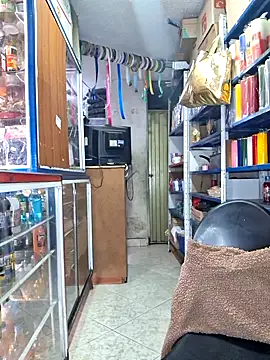 nidia2026 online show from November 6, 3:35 pm