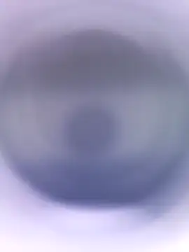 Lorrain Dorrie online show from January 28, 4:52 pm