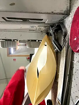 Snapshot of Mustafa-231 chatting on November 28, 2:42 pm Mustafa-231 online show from November 28, 2:42 pm