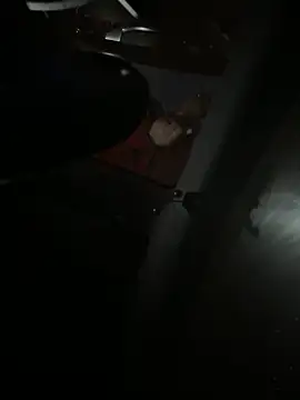 Snapshot of Mustafa-231 chatting on November 29, 6:33 pm Mustafa-231 online show from November 29, 6:33 pm