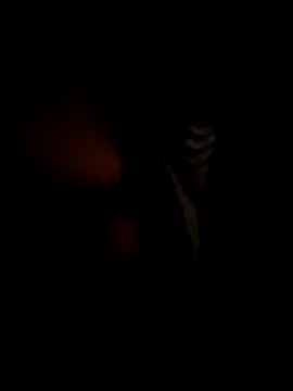 RMP05 online show from December 21, 2:09 am