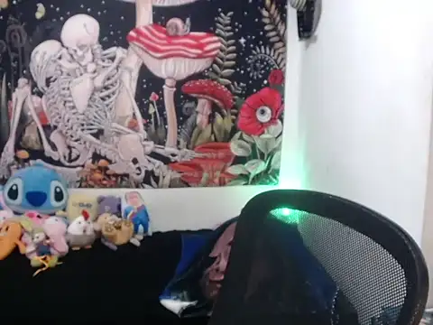 hachi kitty online show from April 3, 2:53 am