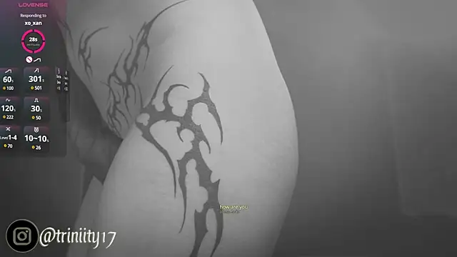 Snapshot of Trinity___s chatting on January 1, 5:11 am Trinity s online show from January 1, 5:11 am