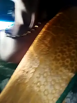 Kajal  Mehra online show from March 28, 3:39 am