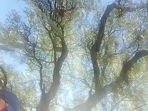 Snapshot of Darly_Gomez chatting on December 22, 3:22 pm Darly Gomez online show from December 22, 3:22 pm