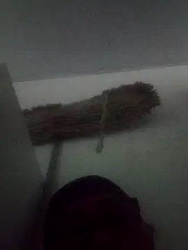 Snapshot of Darly_Gomez chatting on February 9, 5:33 pm Darly Gomez online show from February 9, 5:33 pm