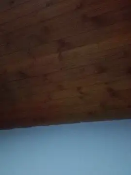 Snapshot of Darly_Gomez chatting on February 19, 8:41 pm Darly Gomez online show from February 19, 8:41 pm