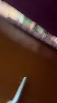 nick  yy online show from February 19, 5:03 am