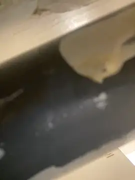 Mme Milahotspicy online show from October 19, 7:03 pm