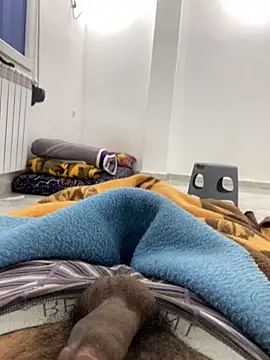 Lahcene online show from December 19, 10:06 pm