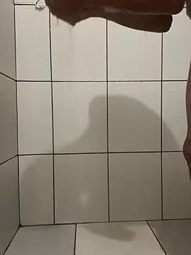 Snapshot of Henrico chatting on December 24, 9:33 pm Henrico online show from December 24, 9:33 pm