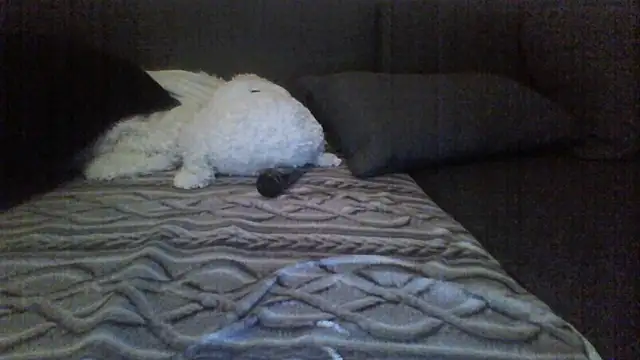 Snapshot of Avamereandmikel chatting on July 22, 10:56 pm Avamereandmikel online show from July 22, 10:56 pm