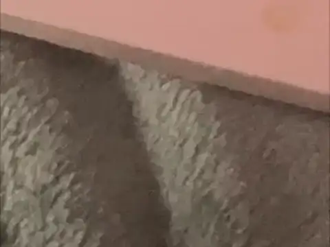 BCNguy1 online show from January 16, 1:42 am